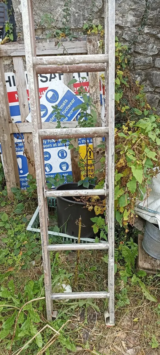 Extension ladder - Image 2