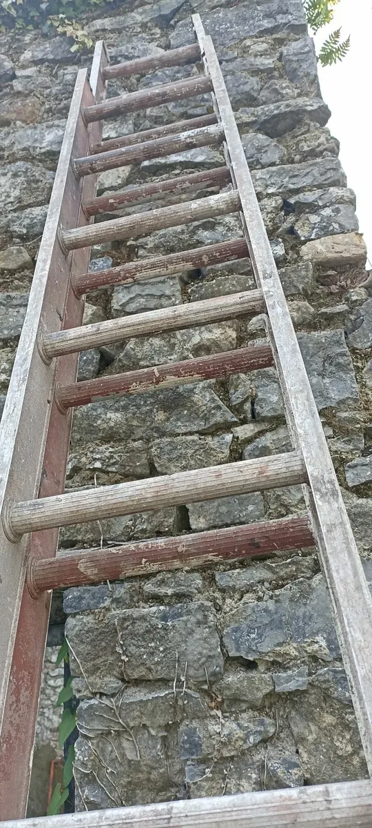 Extension ladder - Image 3
