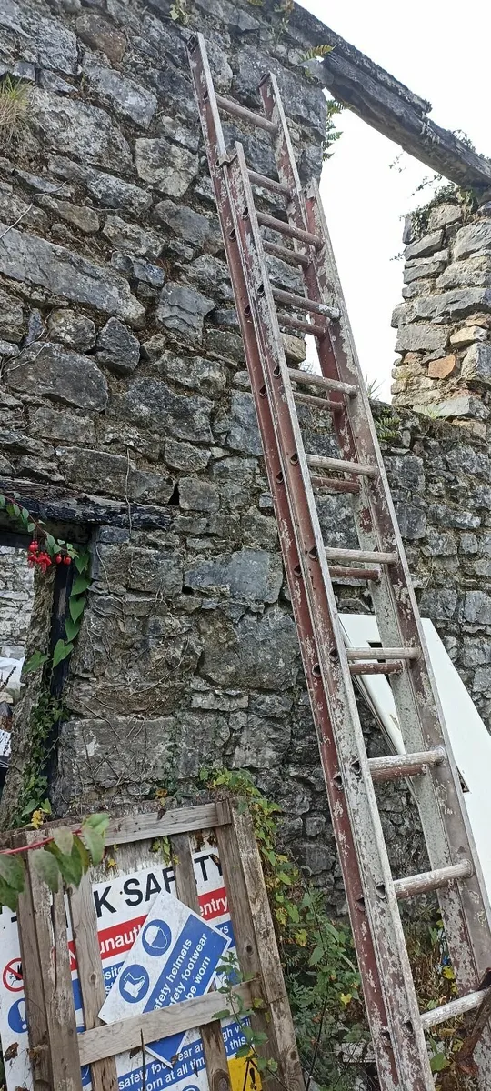 Extension ladder - Image 4