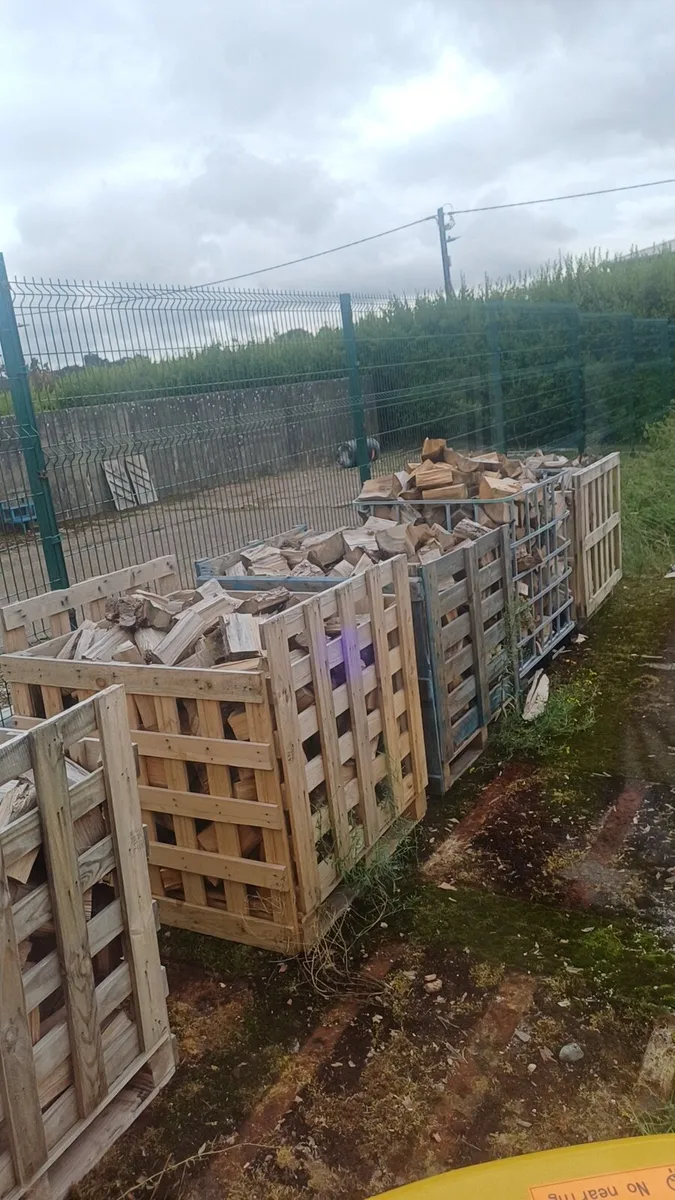 Firewood - Image 1