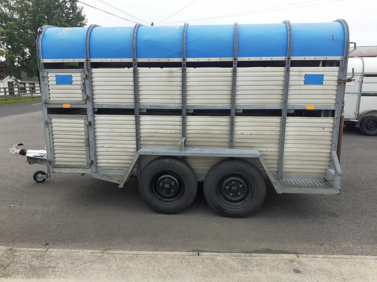 12x6 nugent  porter cattle trailer choice - Image 3