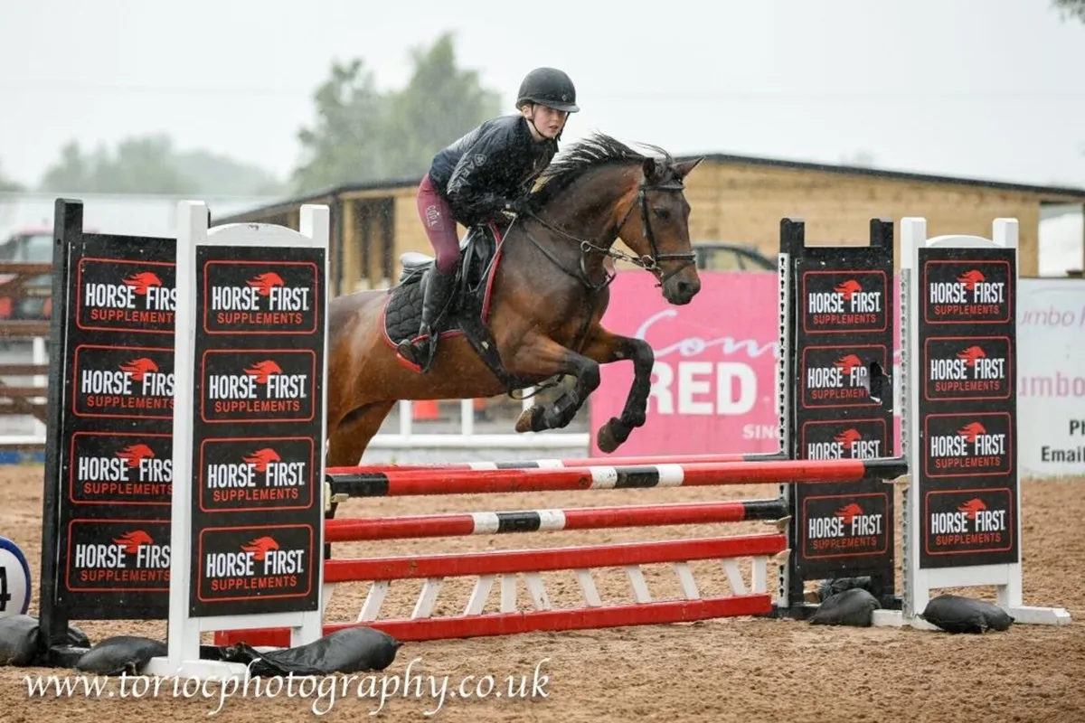 Pony - Image 1