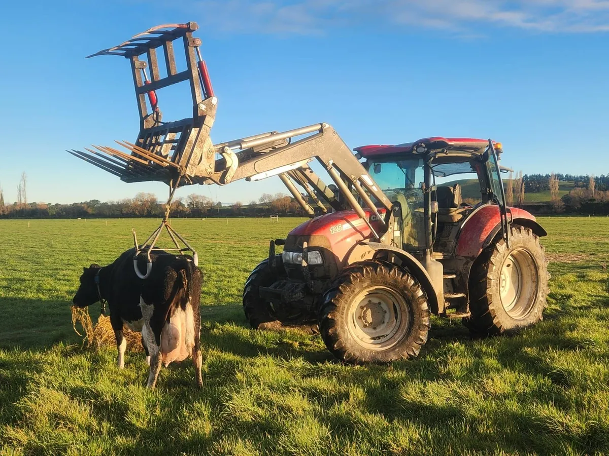 Cow scanning (No Arming) - Image 2