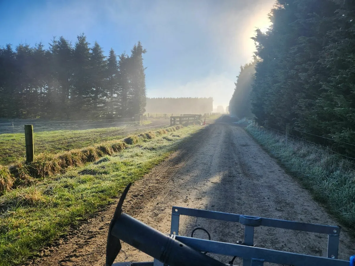 Cow scanning (No Arming) - Image 4