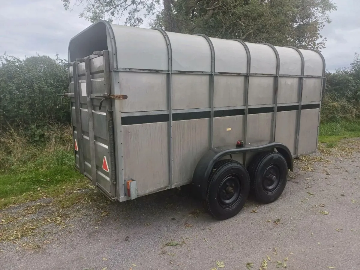 12ft Cattle box - Image 2