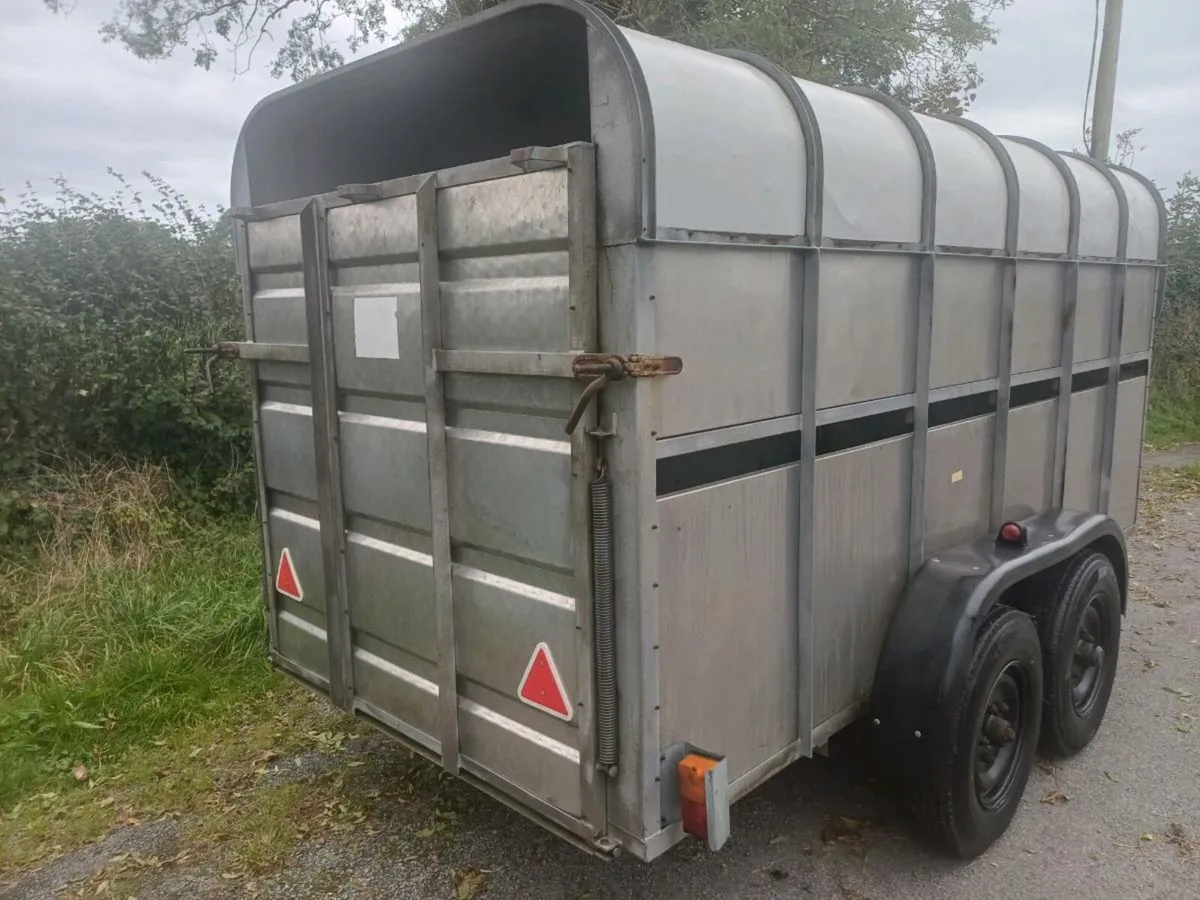 12ft Cattle box - Image 3