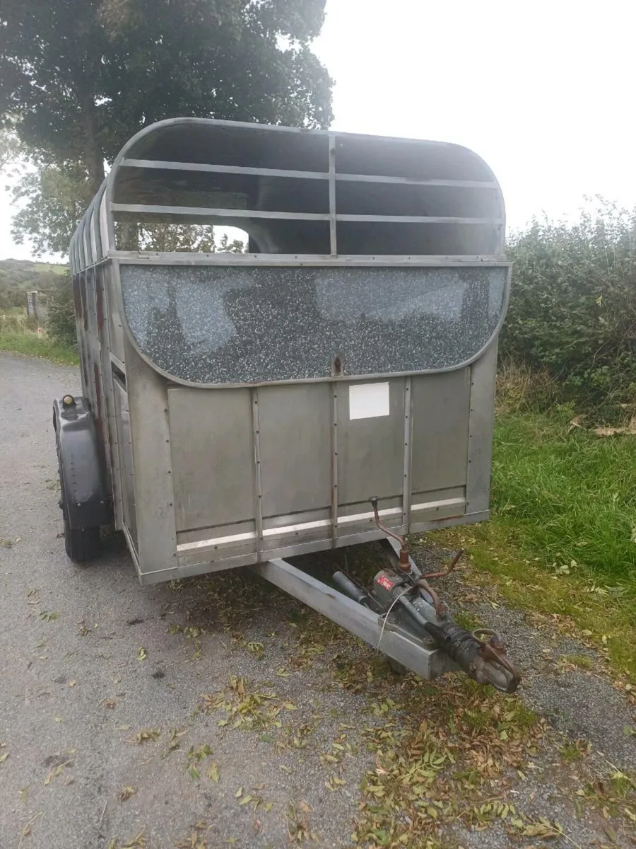 12ft Cattle box - Image 4