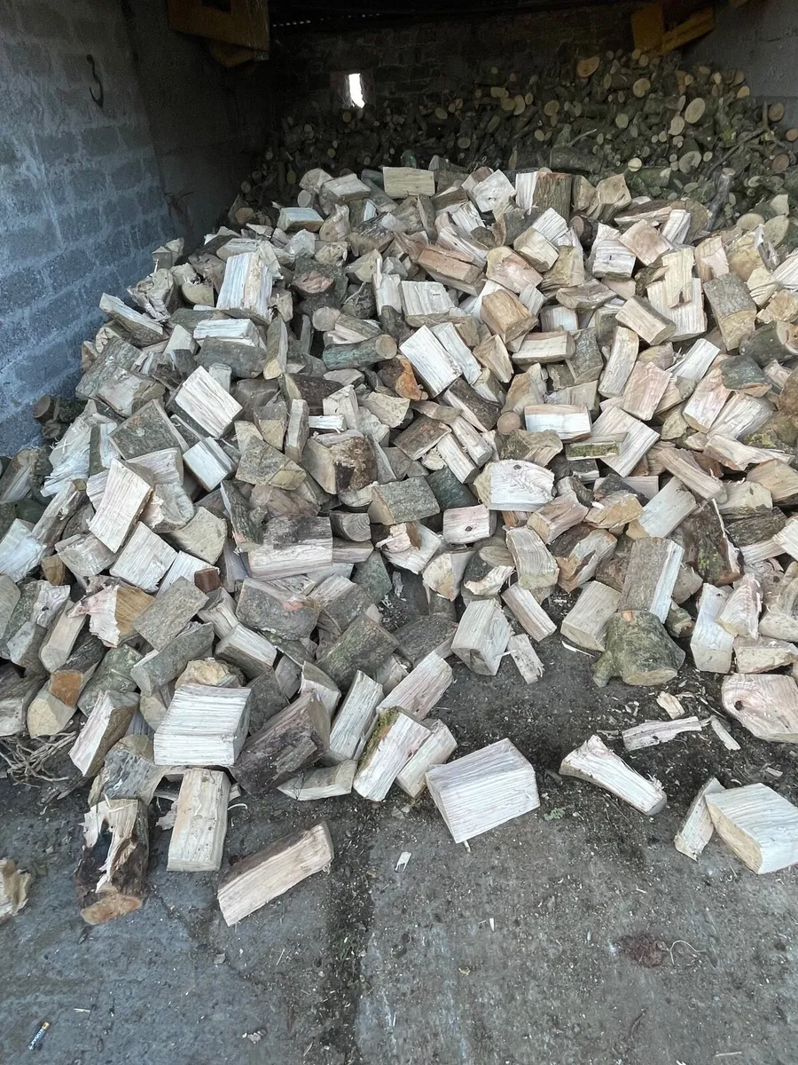 Firewood - Image 3