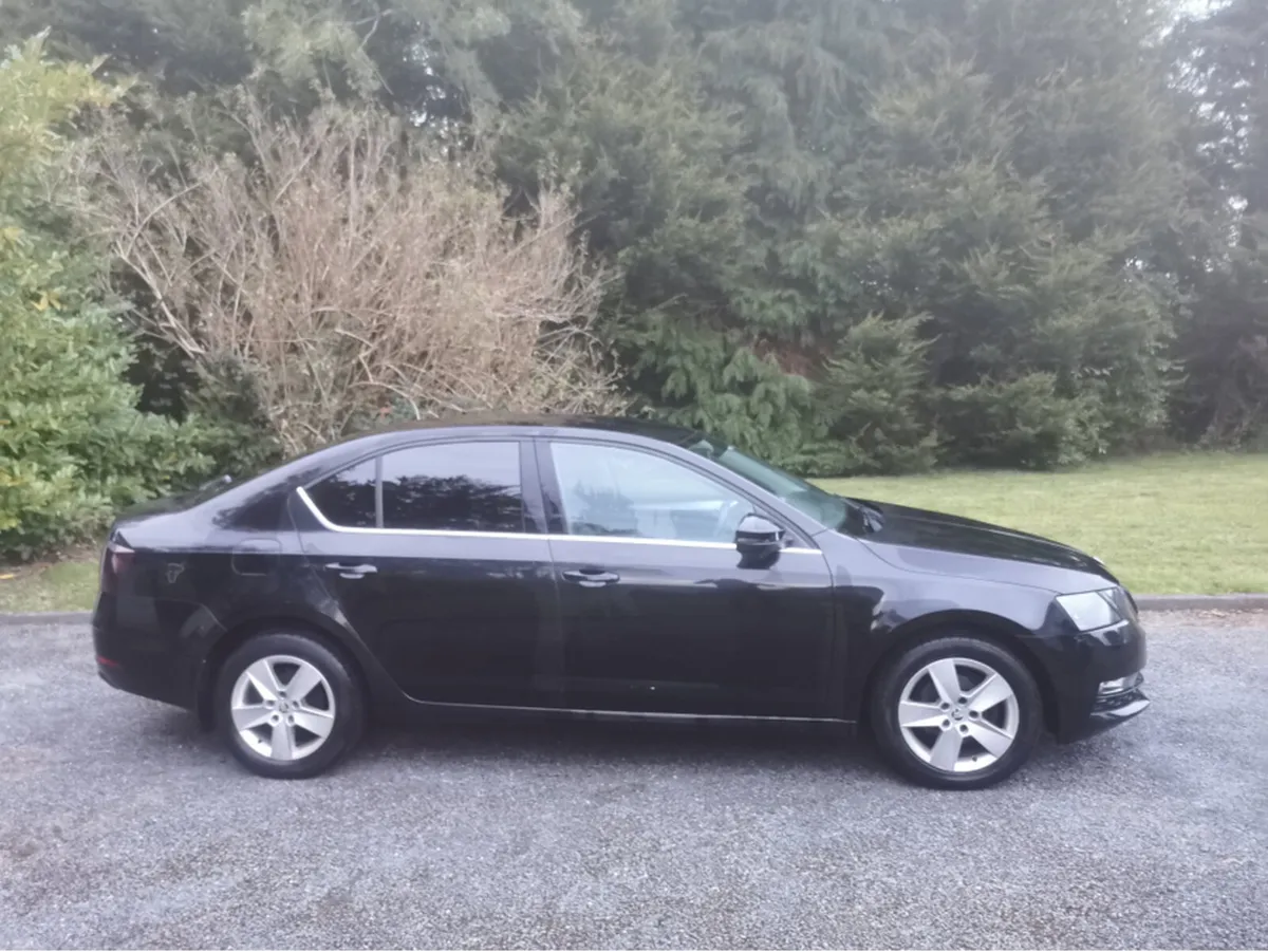 Skoda Octavia 1.6 TDI SE auto DSG - Image 2