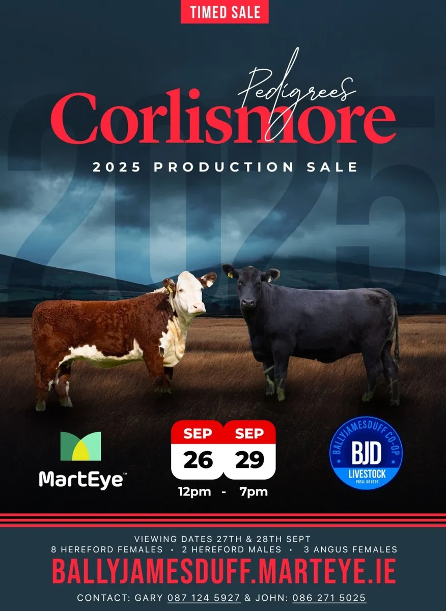 Corlismore production sale - Image 1