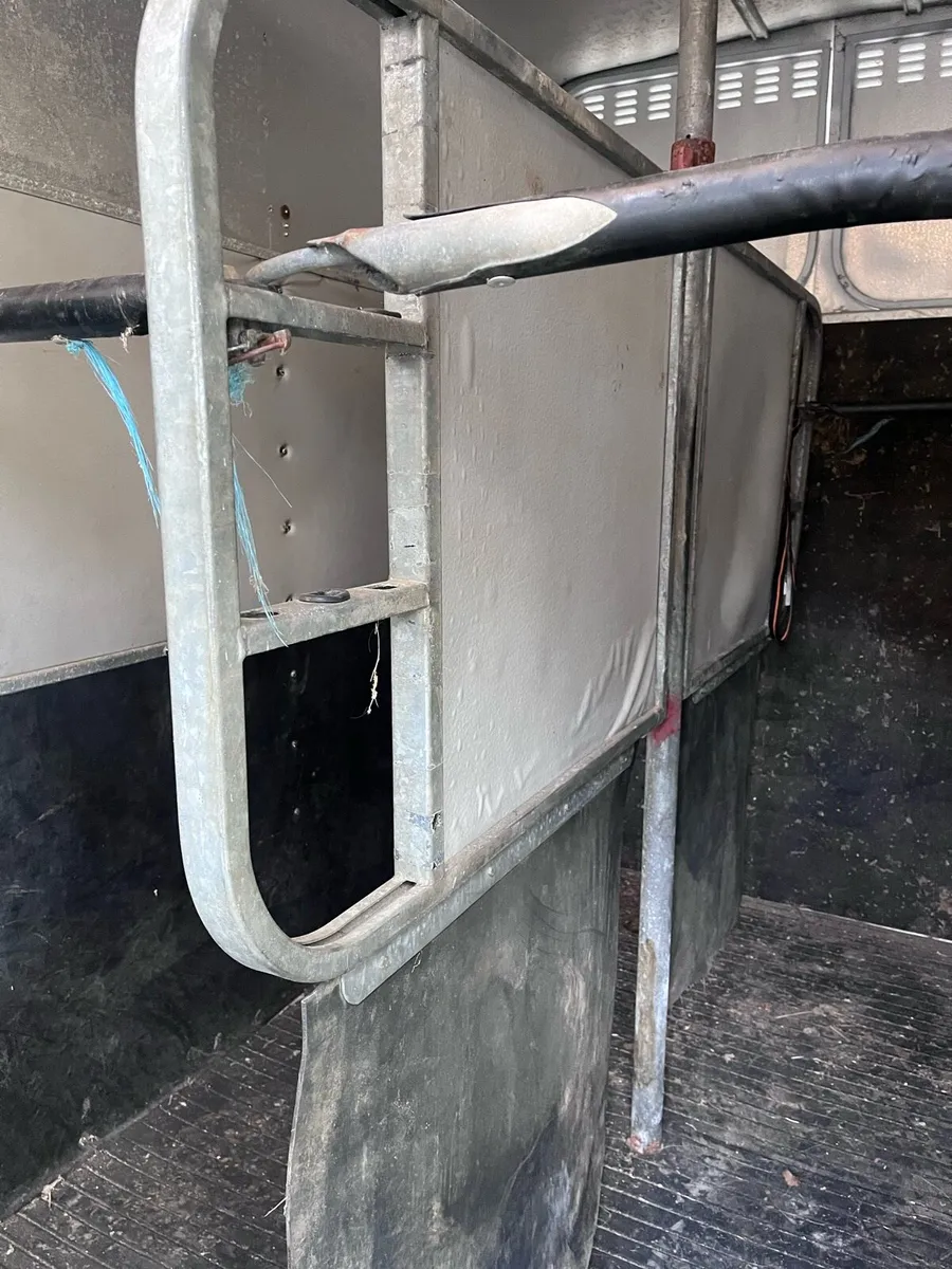 Horse box - Image 4