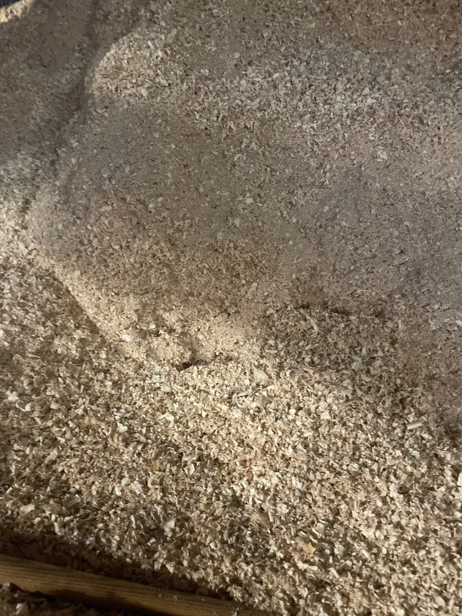 Sawdust /shavings