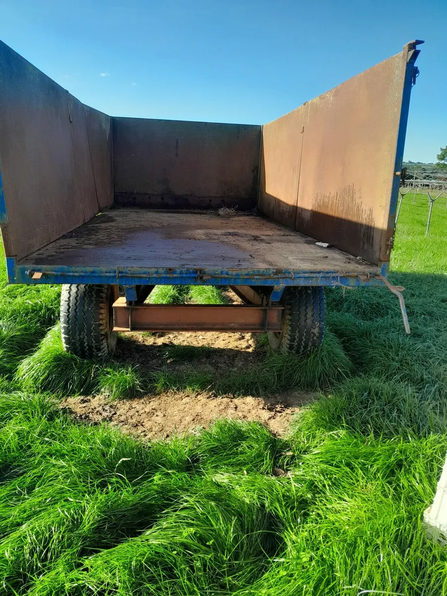 Silage, turf, grain trailer - Image 2