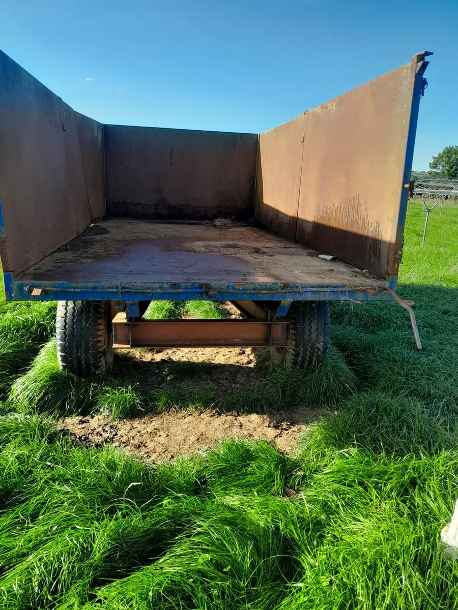 Silage, turf, grain trailer - Image 3