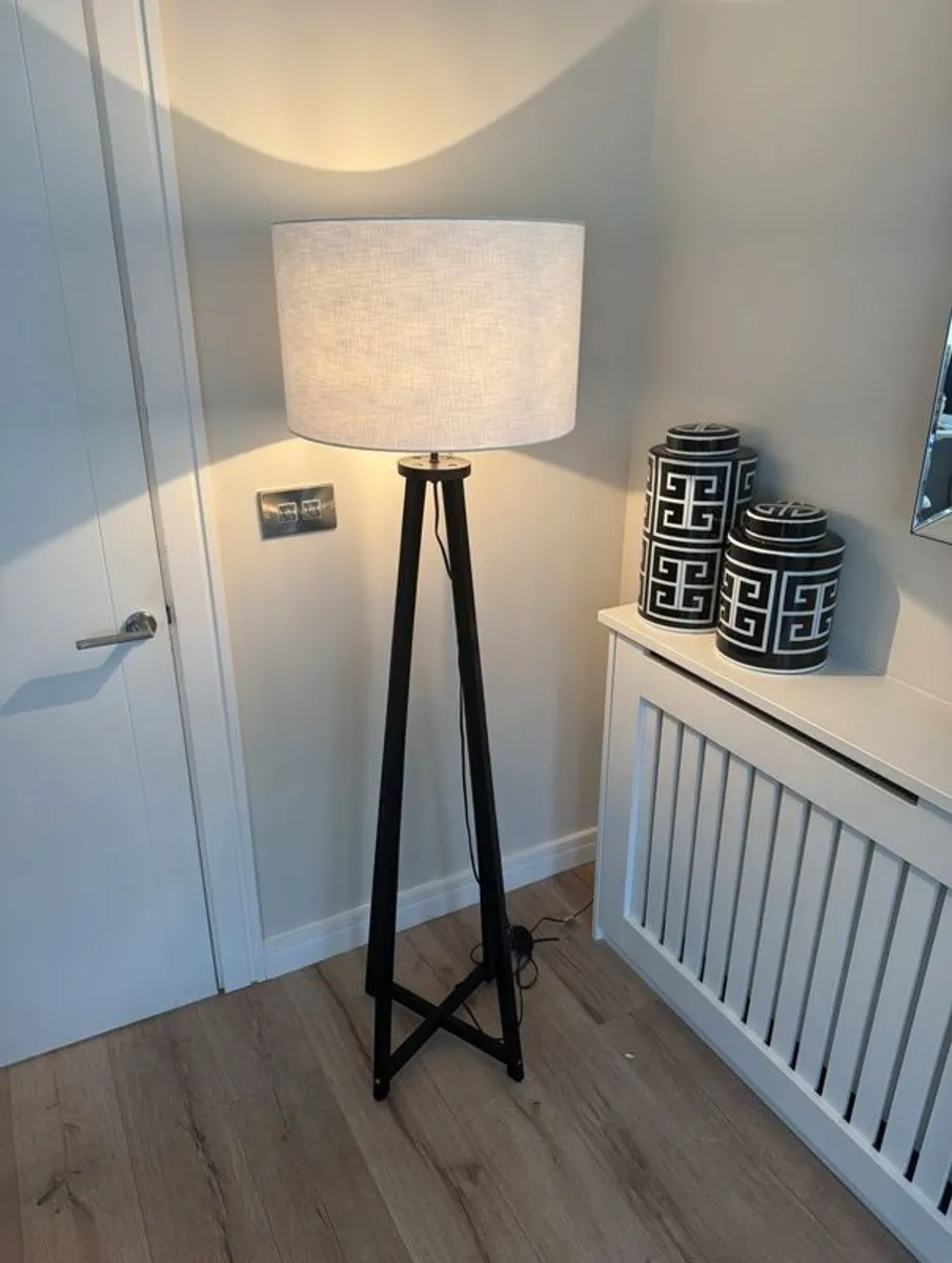 Wayfair Floor Lamp - Image 1