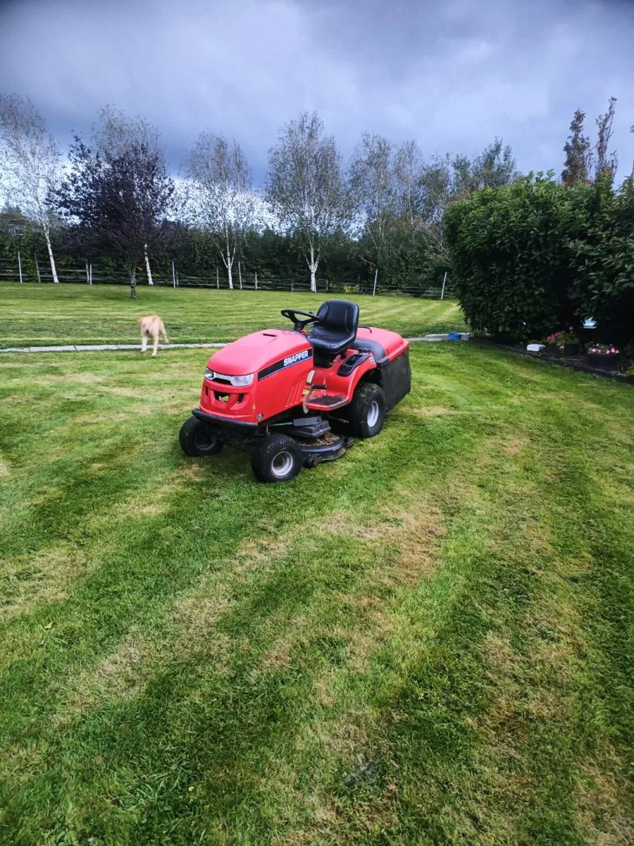 Lawnmower - Image 4