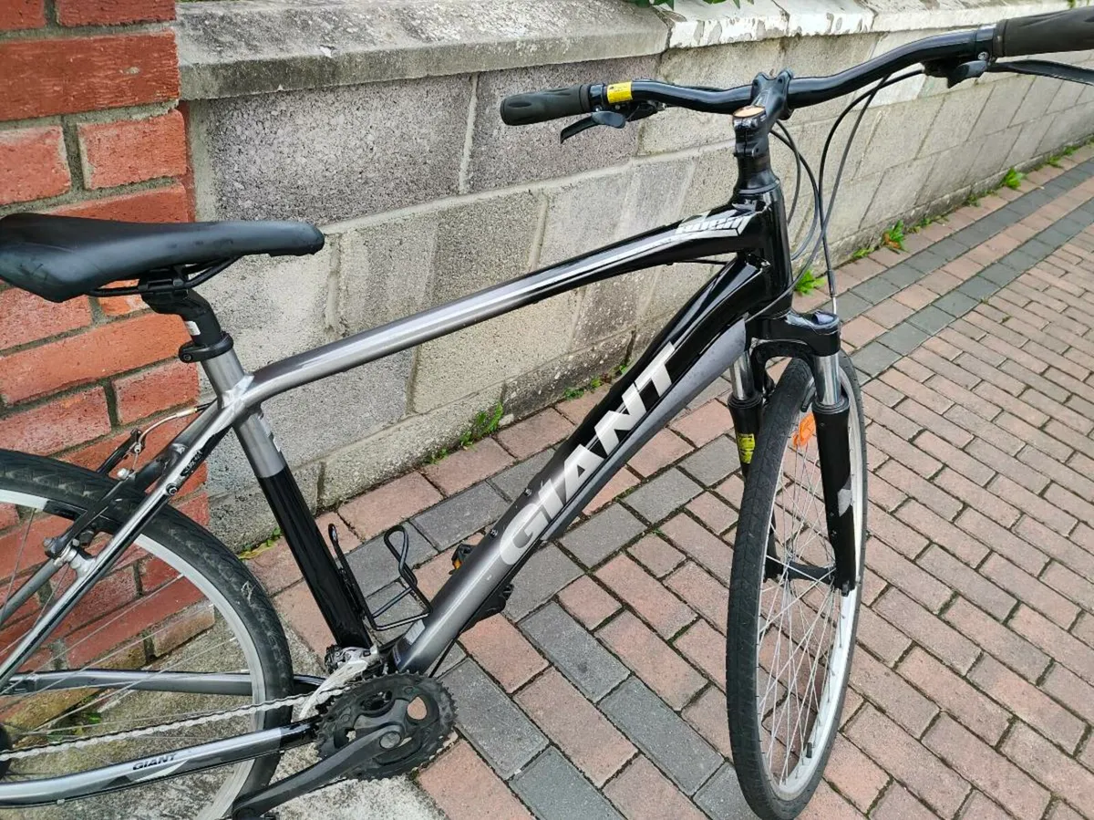 Giant mountain bike - Image 1