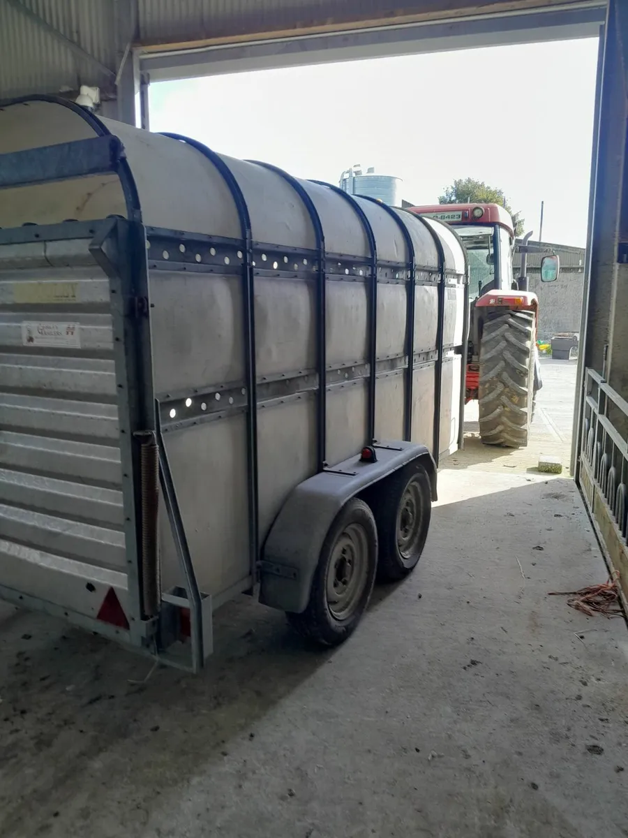 Cattle Trailer - Image 3