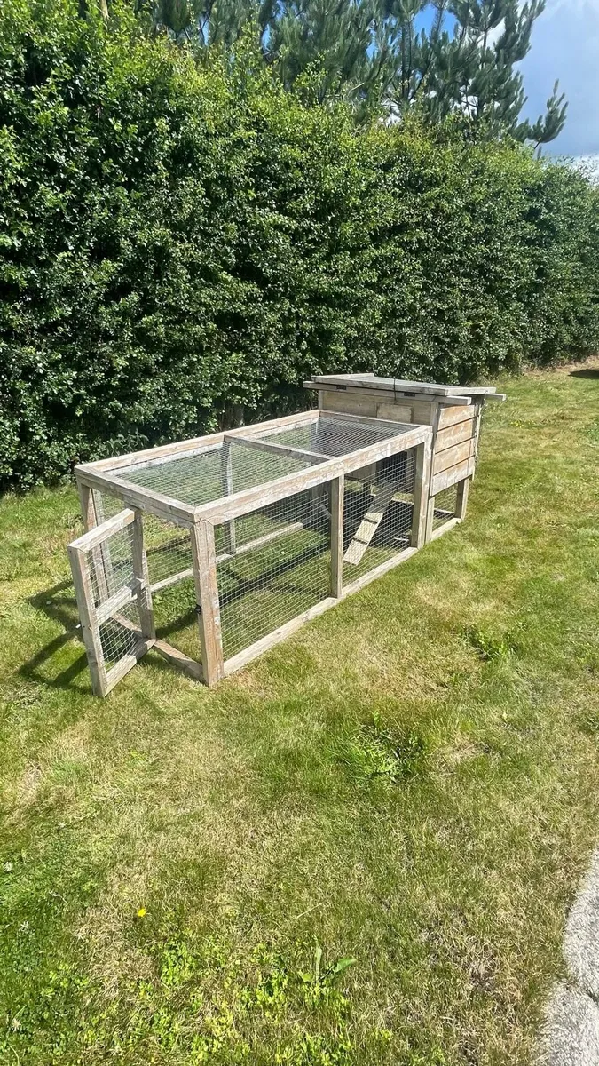 Hen Coupe - Image 1