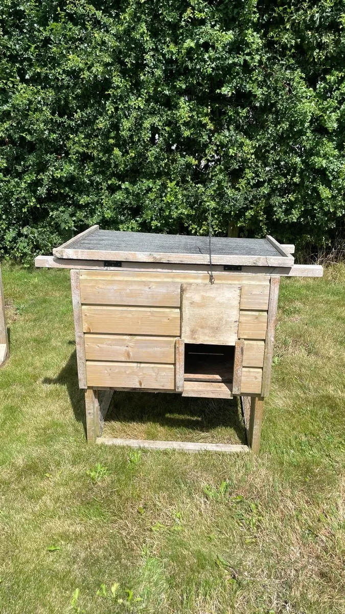 Hen Coupe - Image 3