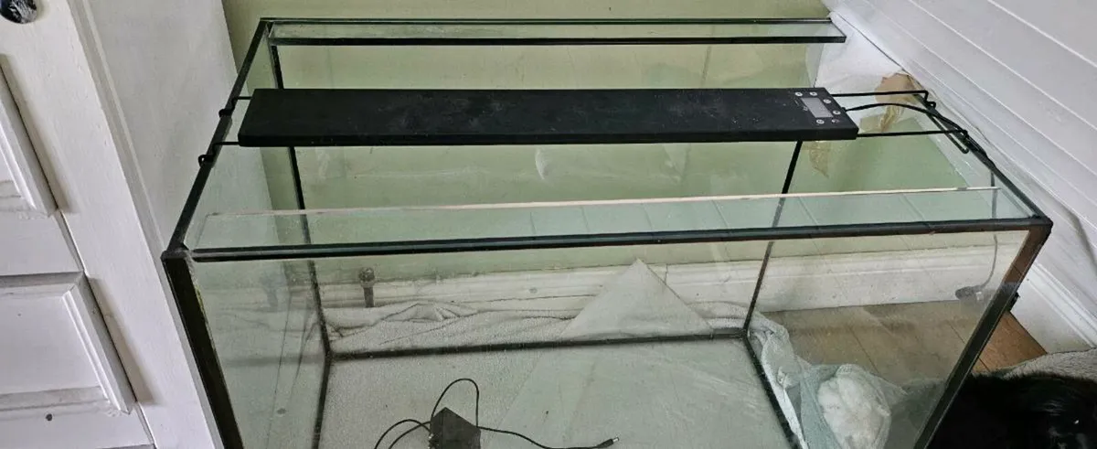 200 litre fish tank