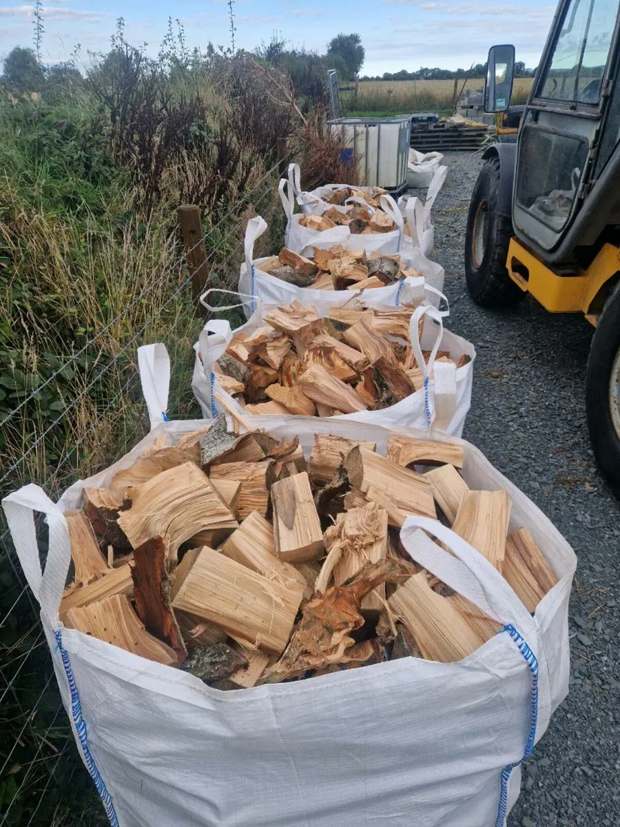 Firewood seasoned - Image 1