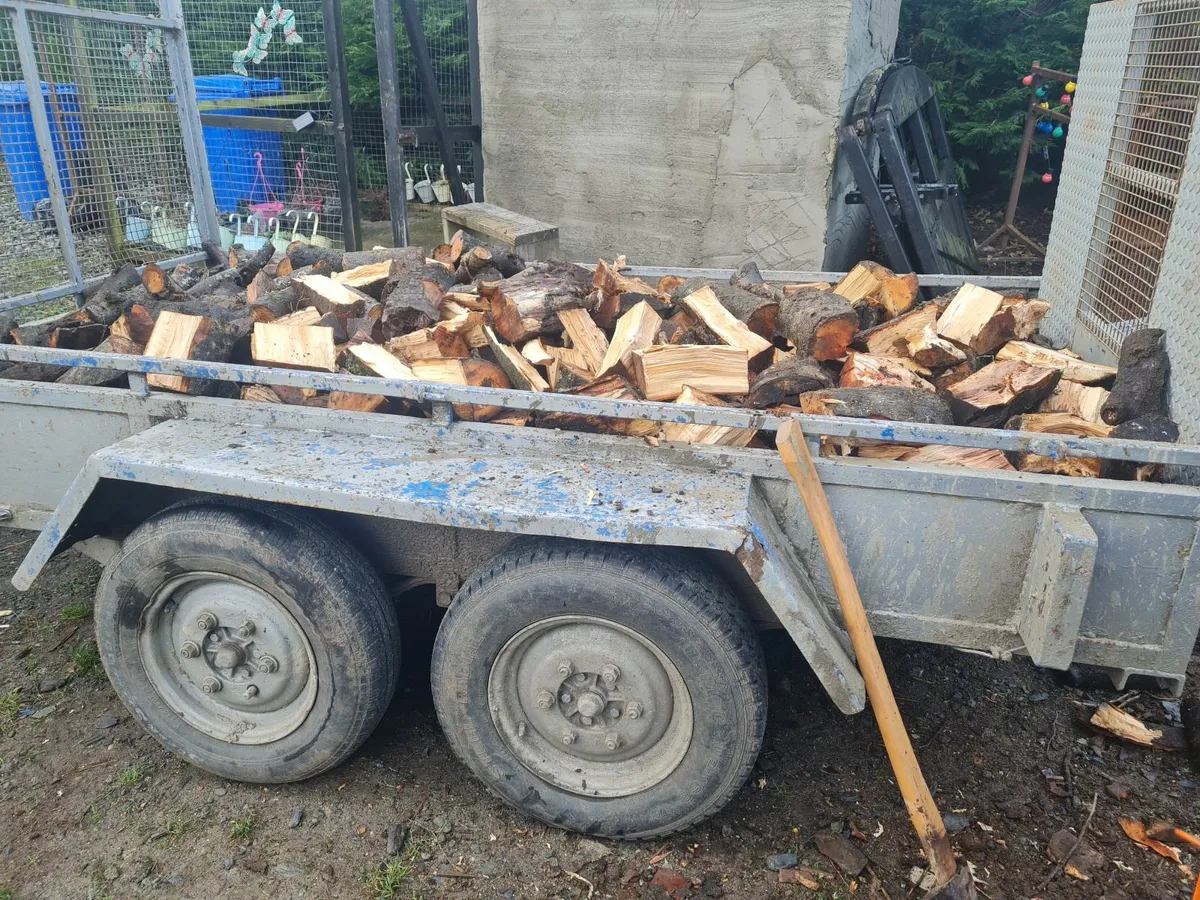Beech firewood - Image 3