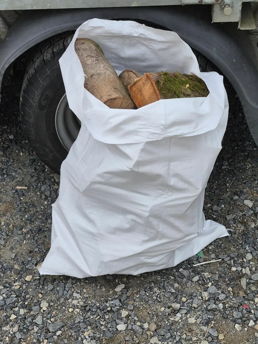 Beech firewood - Image 4