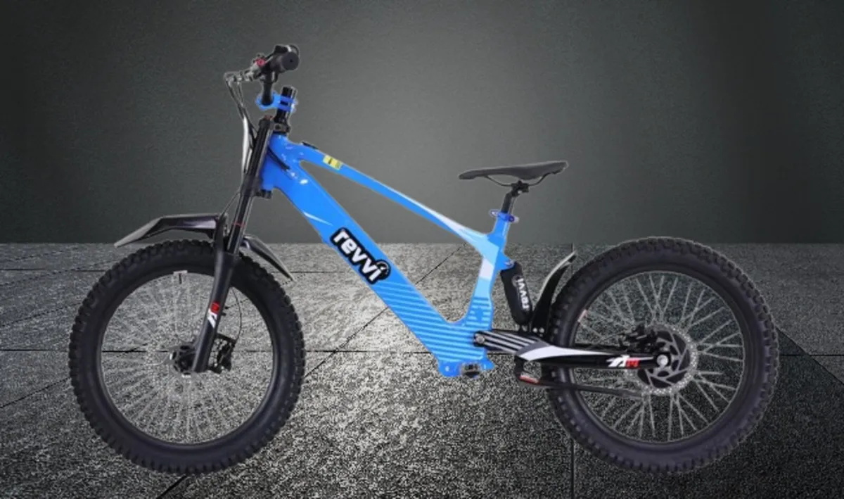 20" Revvi Bike ** NEW ** - Image 1