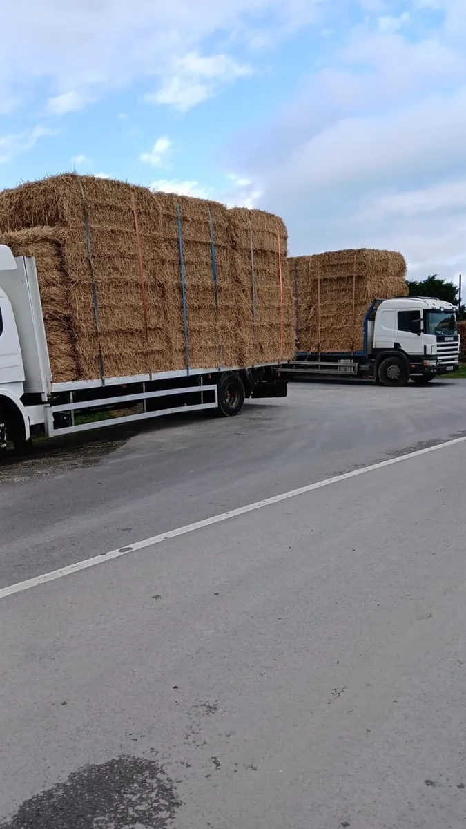 Hay and Straw - Image 1