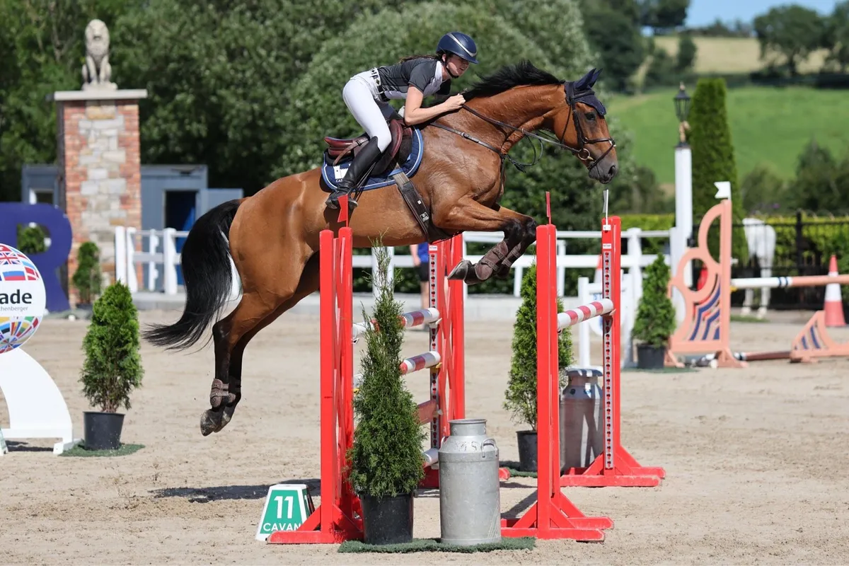 Allrounder gelding record to 130 YR/amateur - Image 1