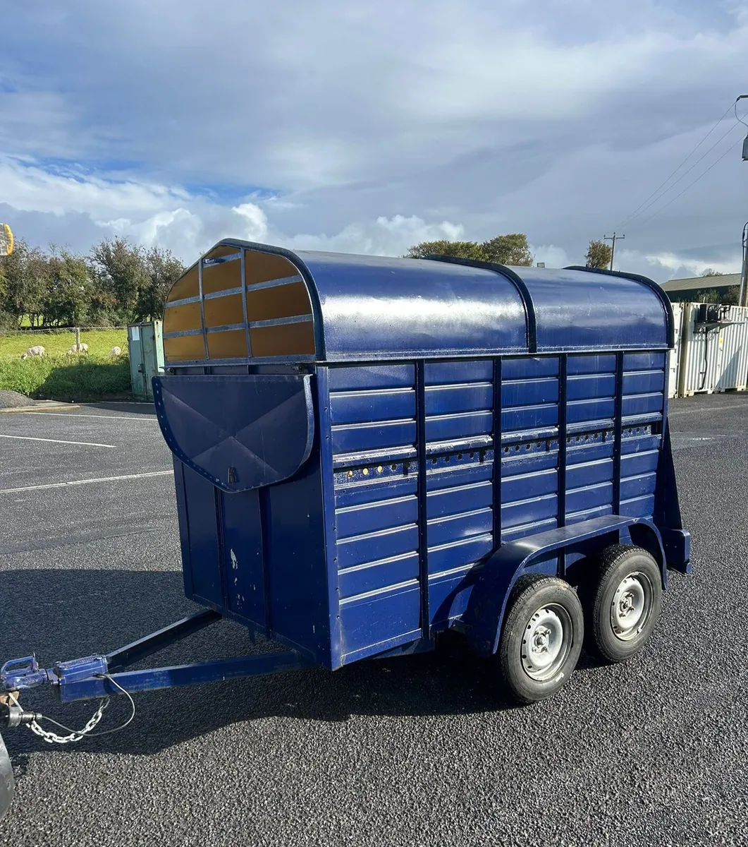 8by4f5 cattle trailer for sale - Image 1