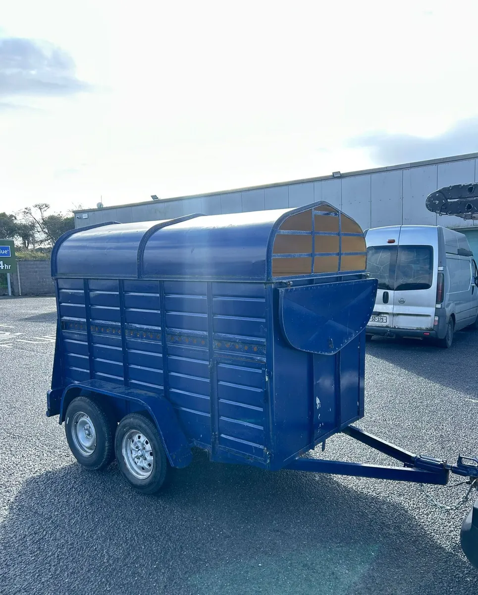 8by4f5 cattle trailer for sale - Image 2