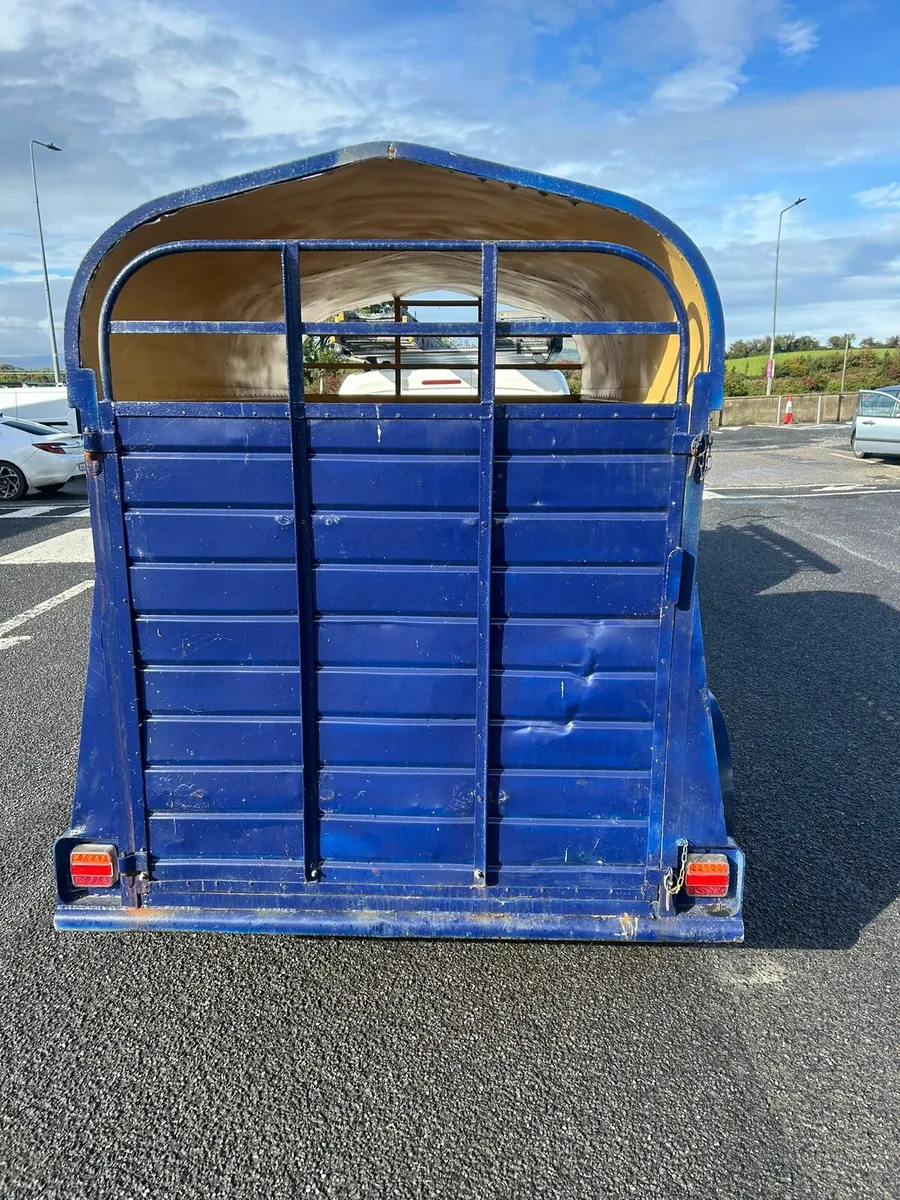 8by4f5 cattle trailer for sale - Image 4