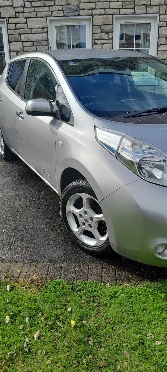 161 Nissan Leaf Cold Pack - Image 3