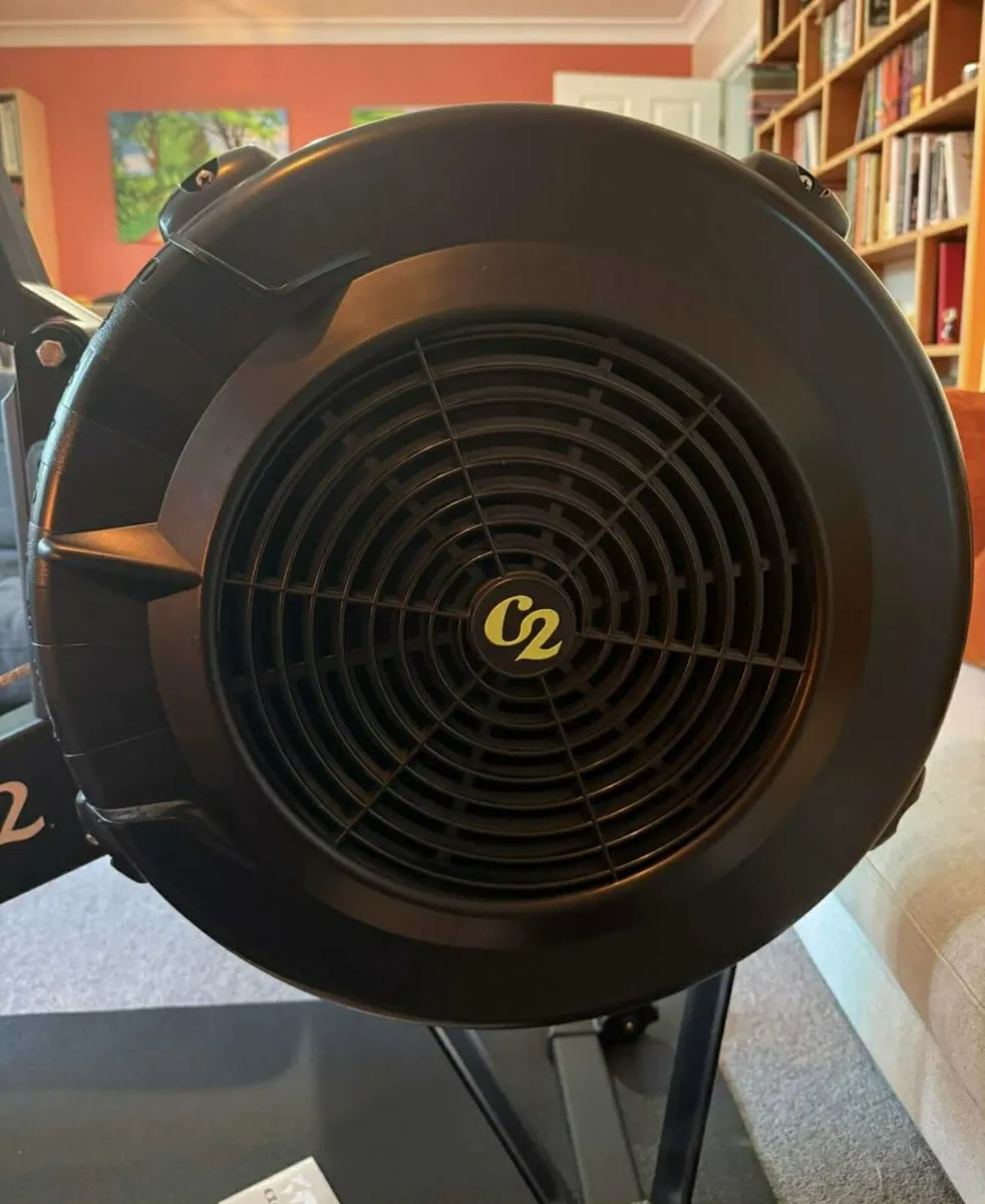 Concept 2 Rowerg with PM5 - Image 4