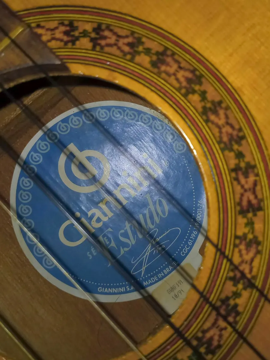 Giannini Guitar + Cover – Second-Hand. - Image 1