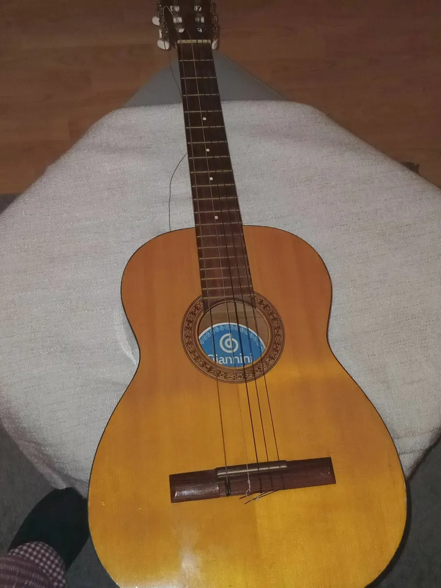 Giannini Guitar + Cover – Second-Hand. - Image 2
