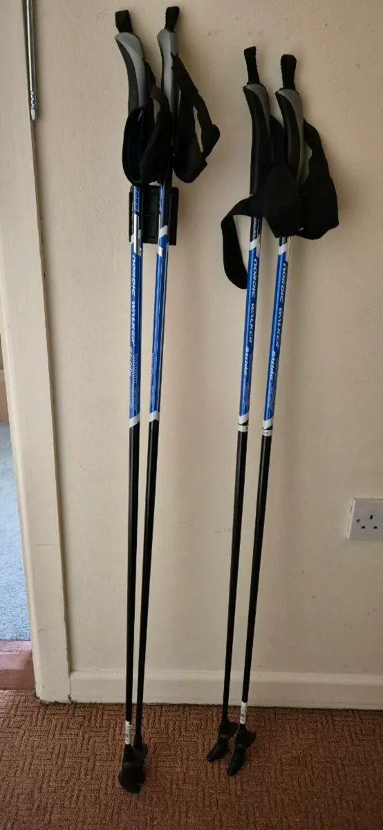 Nordic walking poles - Image 1