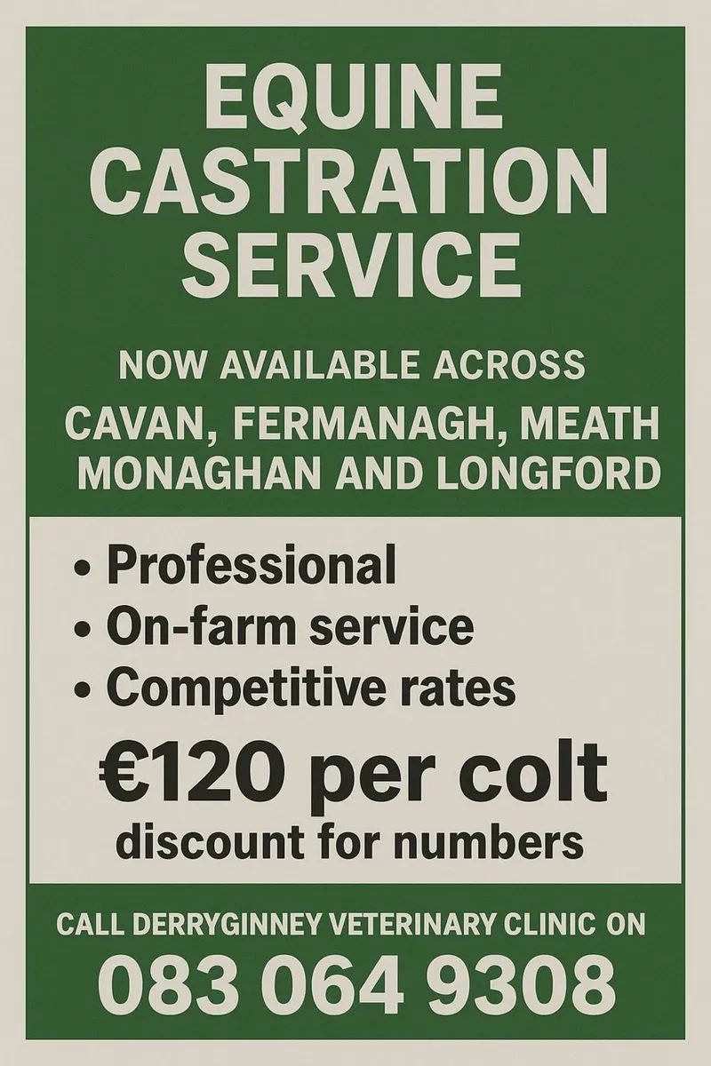 Equine Castration Service