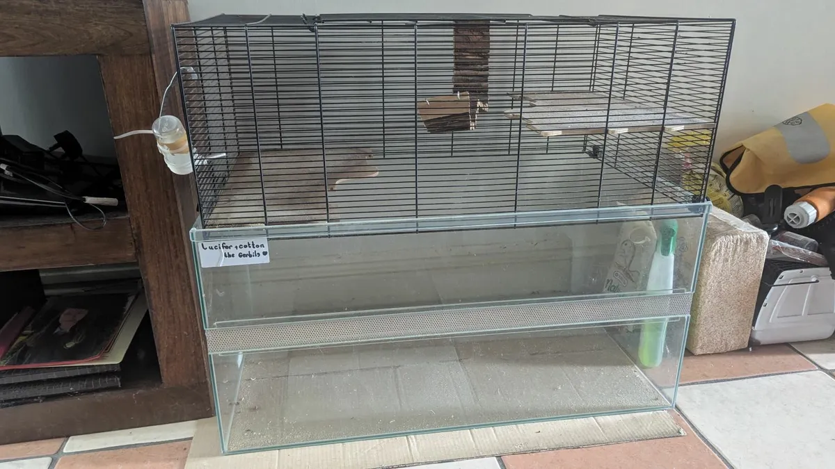 Gerbil cage - Image 1