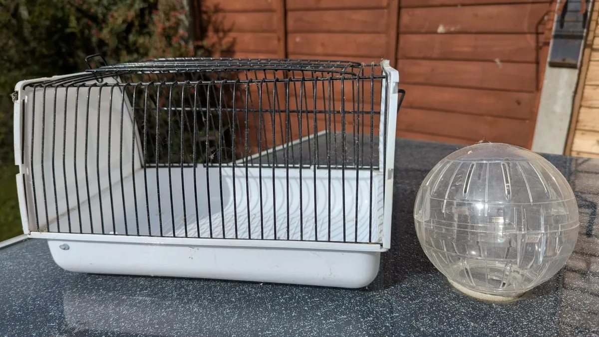 Gerbil cage - Image 2