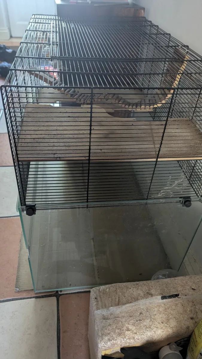 Gerbil cage - Image 3