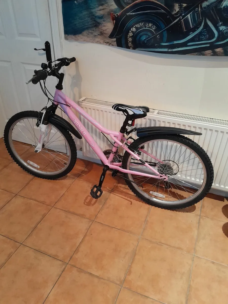 Bicycle - Image 1