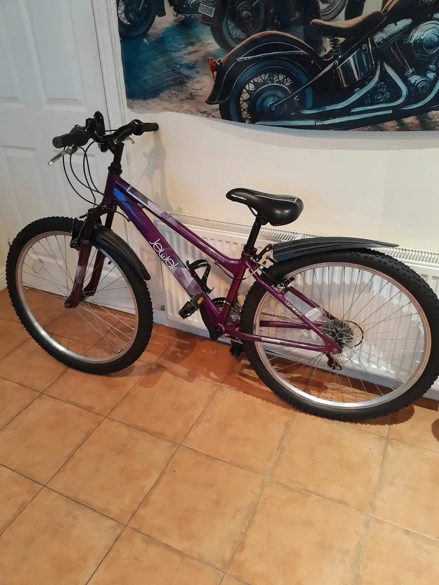 Bicycle - Image 1