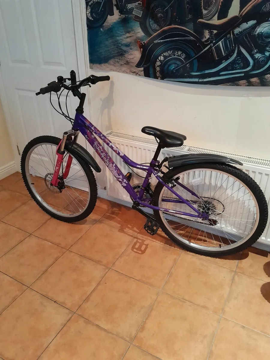 Bicycle - Image 1