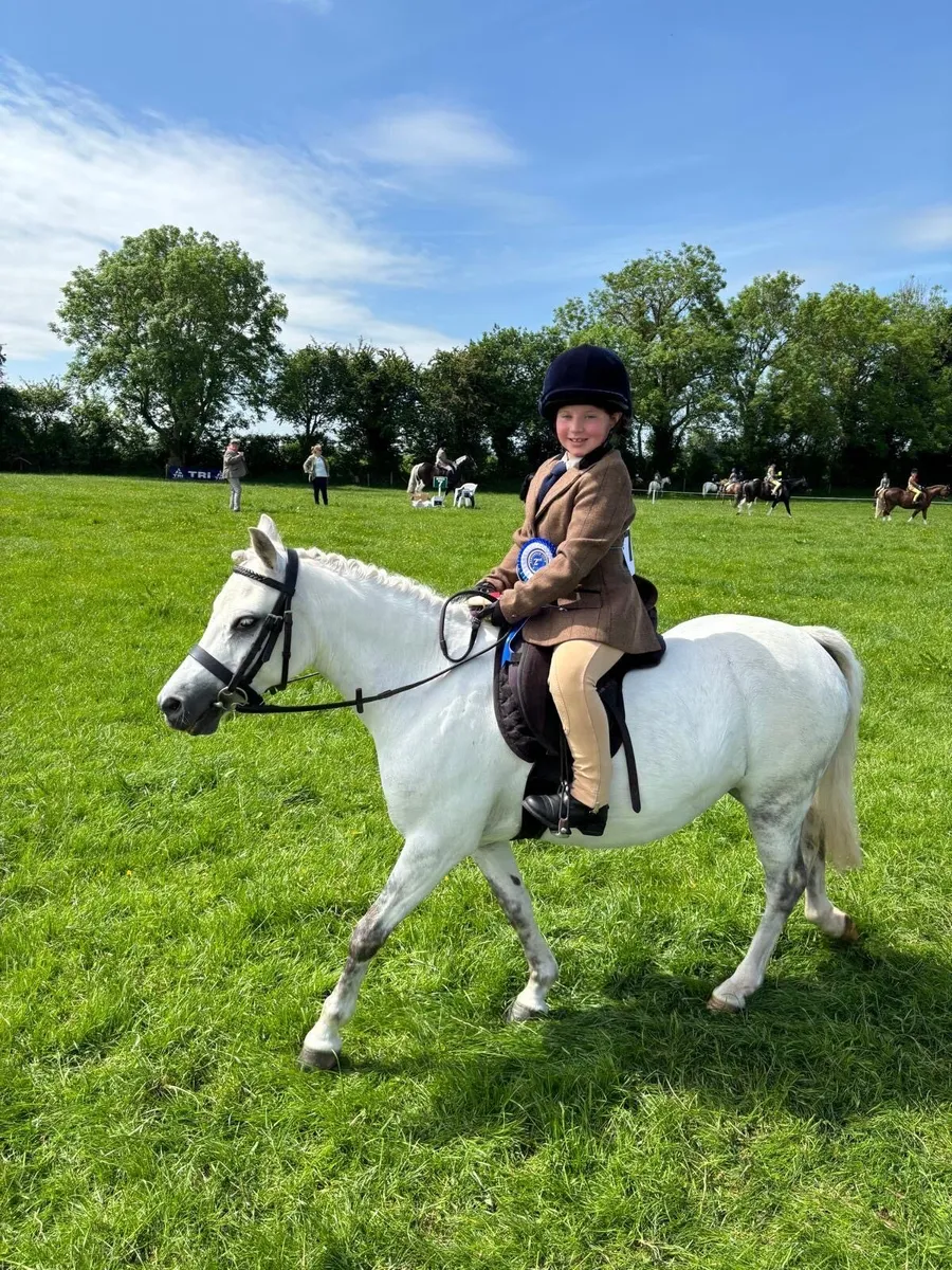 Stunning Lead Rein pony - Image 3