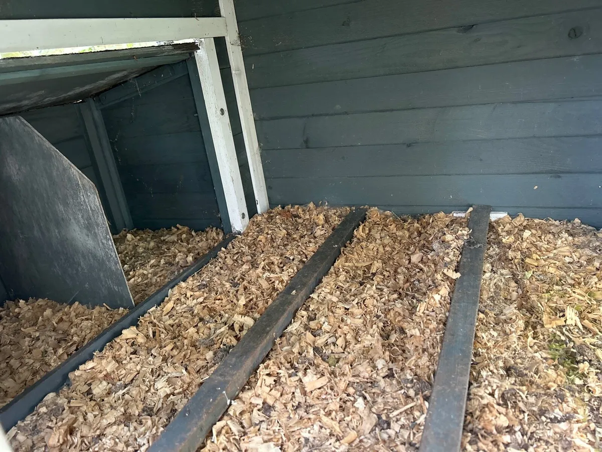 Hen house - Image 4