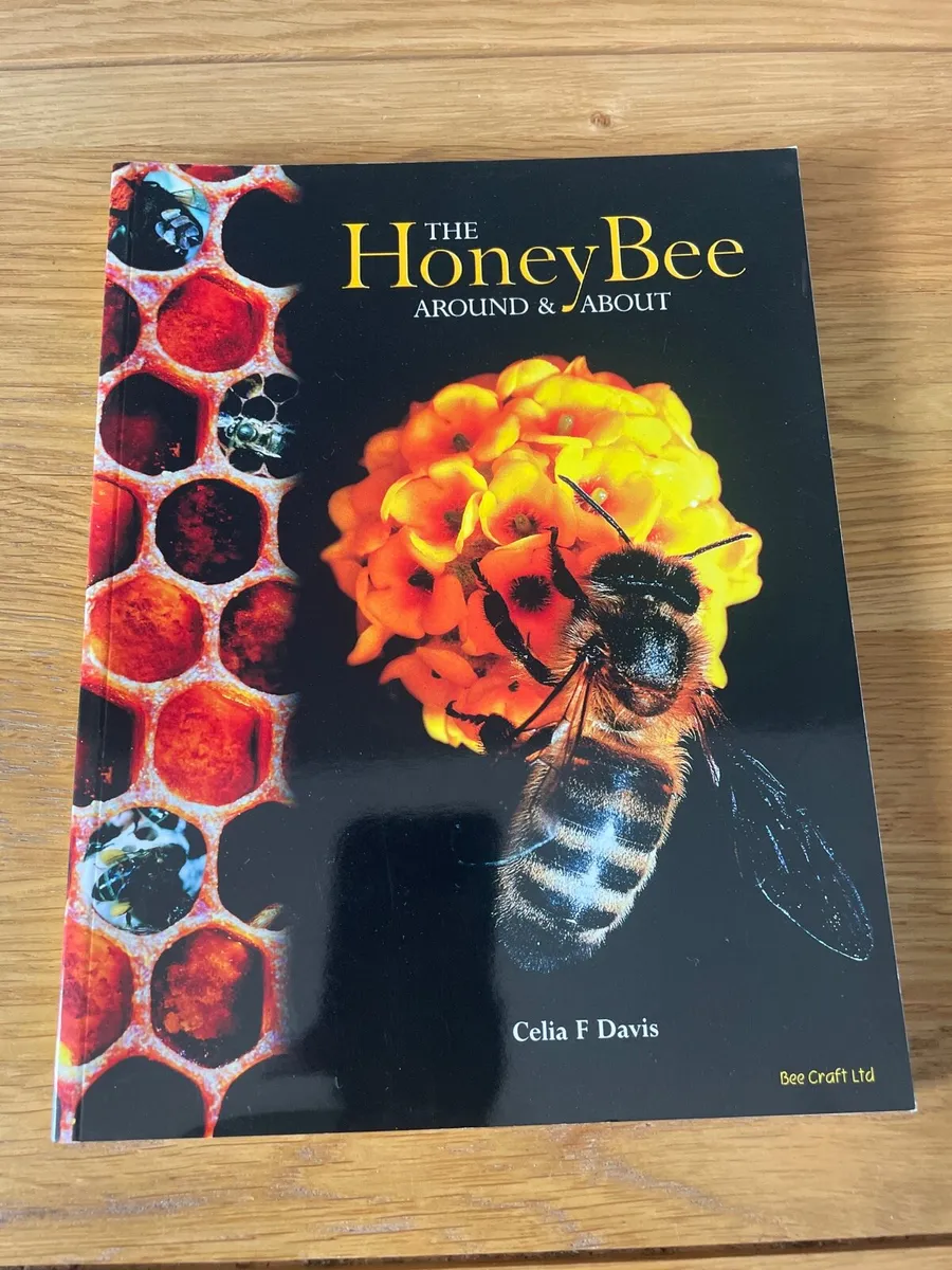 Honey Bee Books - Image 1