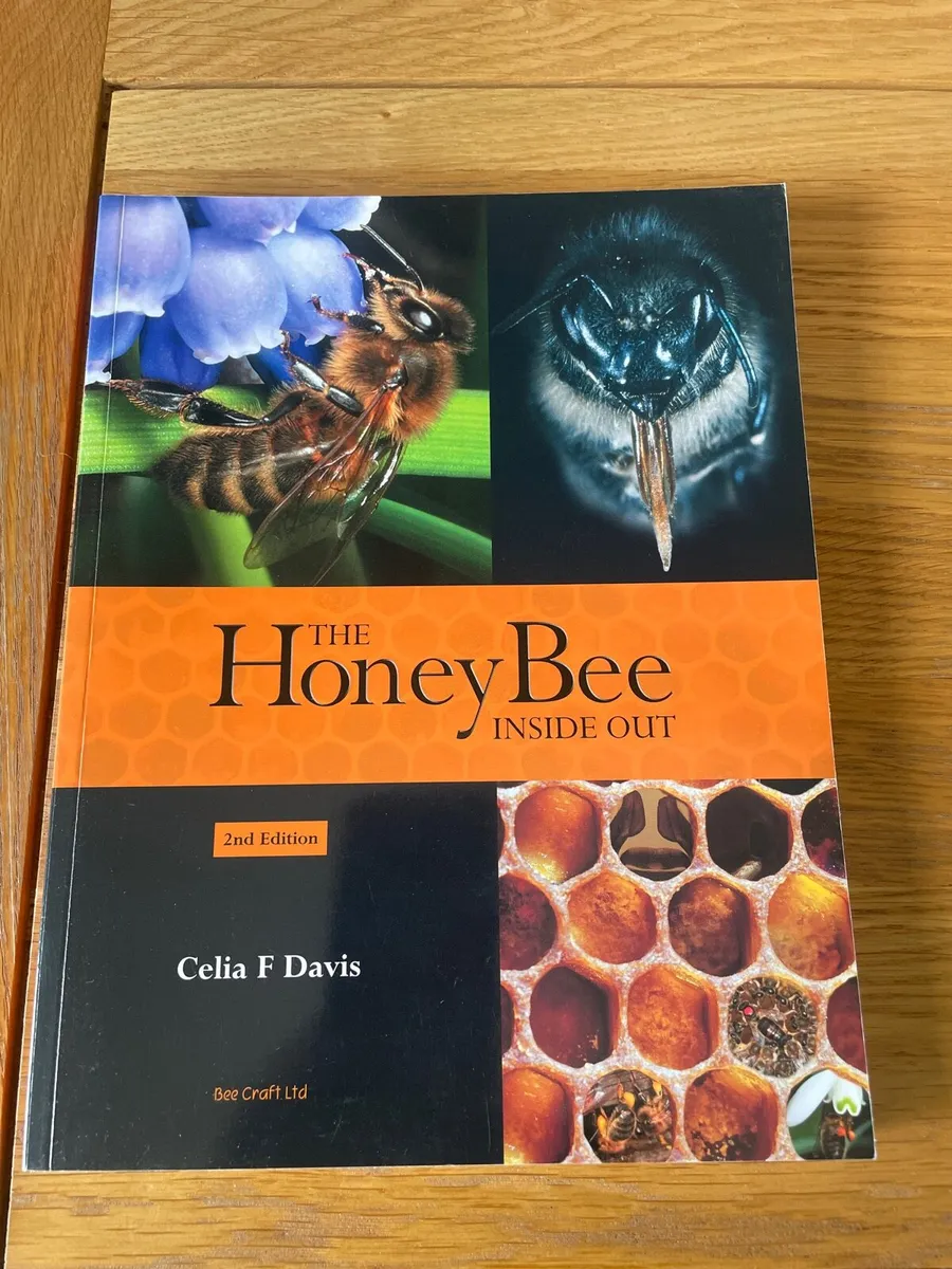 Honey Bee Books - Image 2